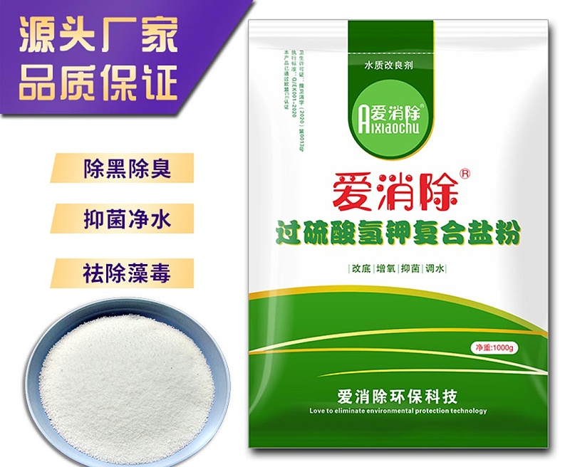 b_5503306202010140953461284